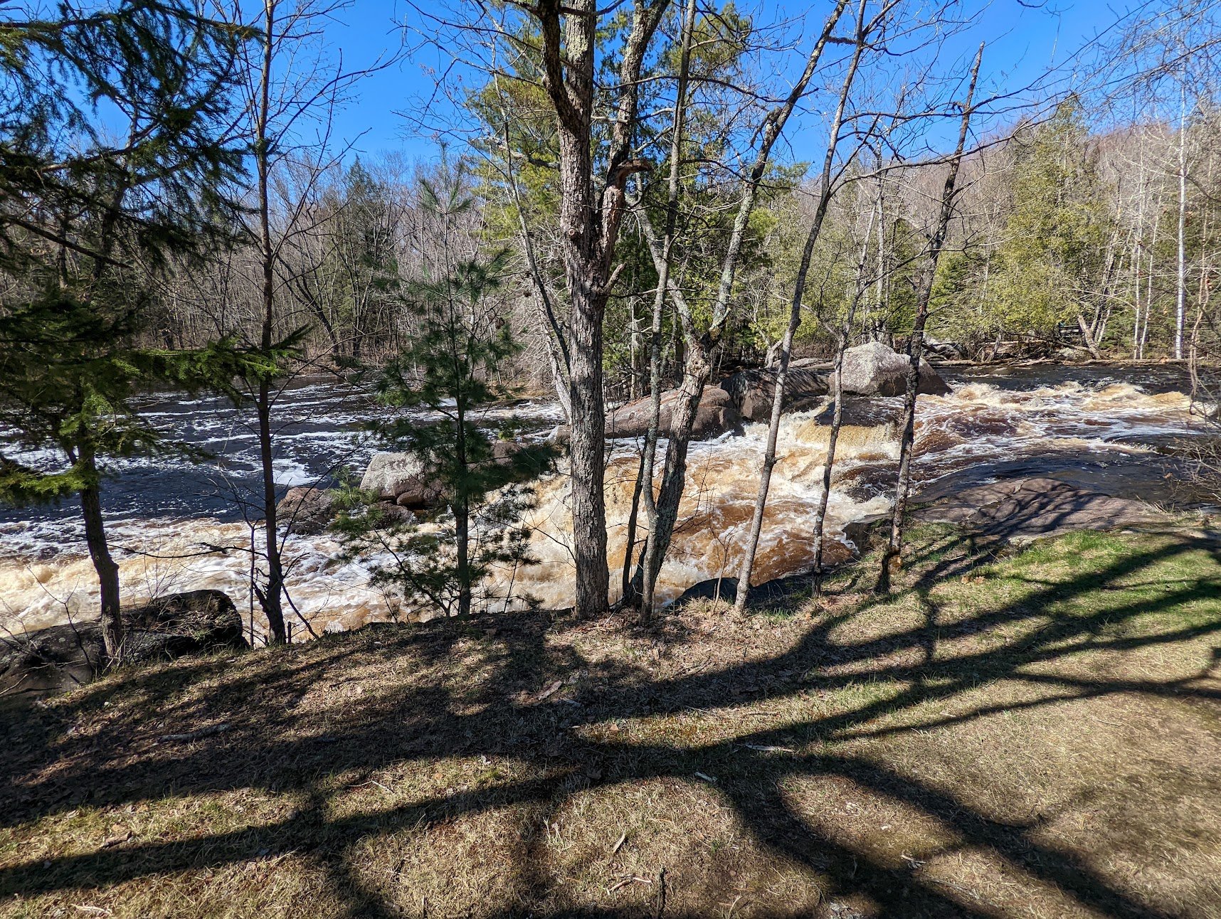 Stopped at Goodman Park to see the waterfall, Much more volume than last time I was here. Must have been a wet spring up here!