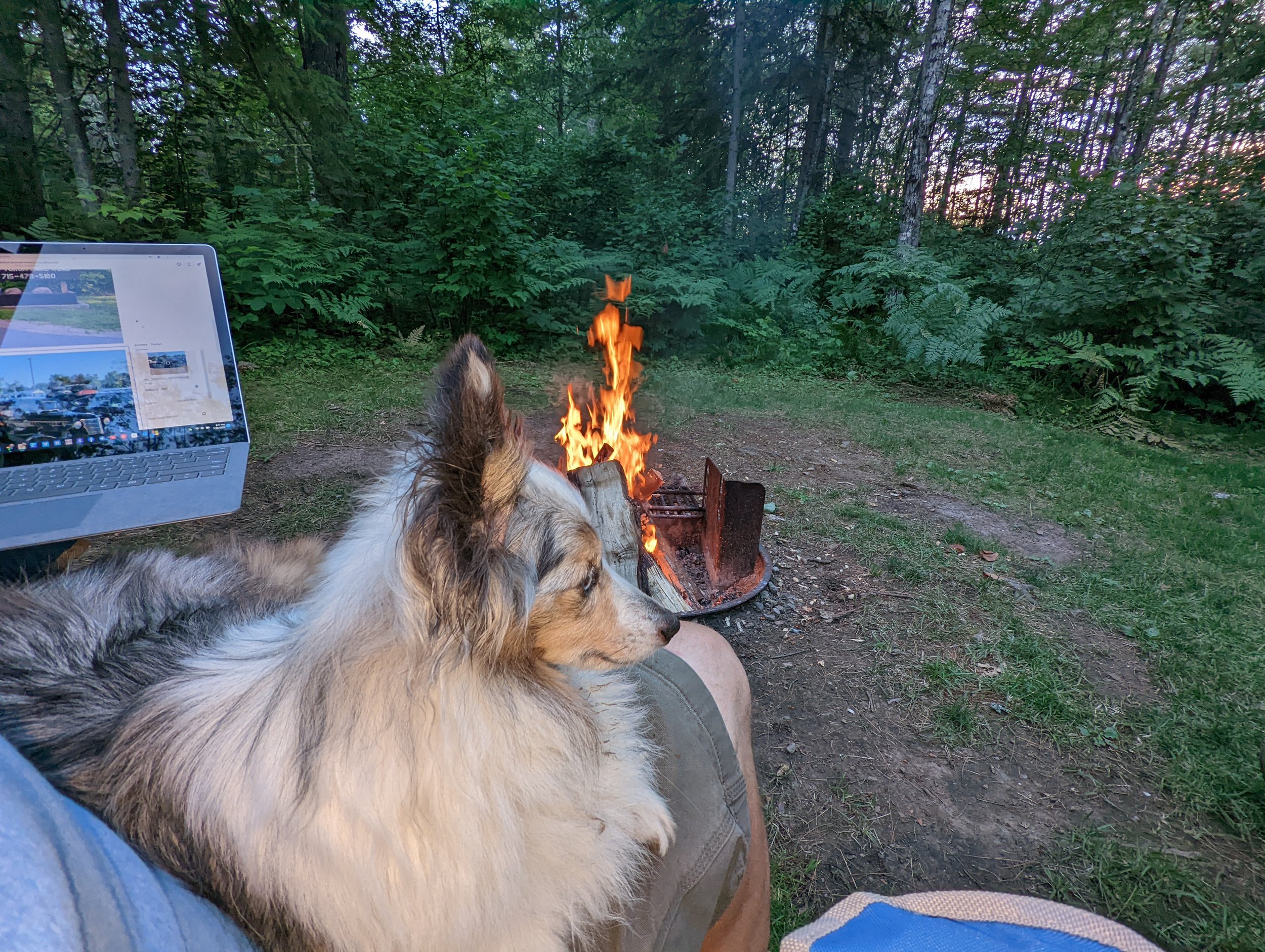 Remmy was helping me with the blog updates last night, Not really, LOL!
