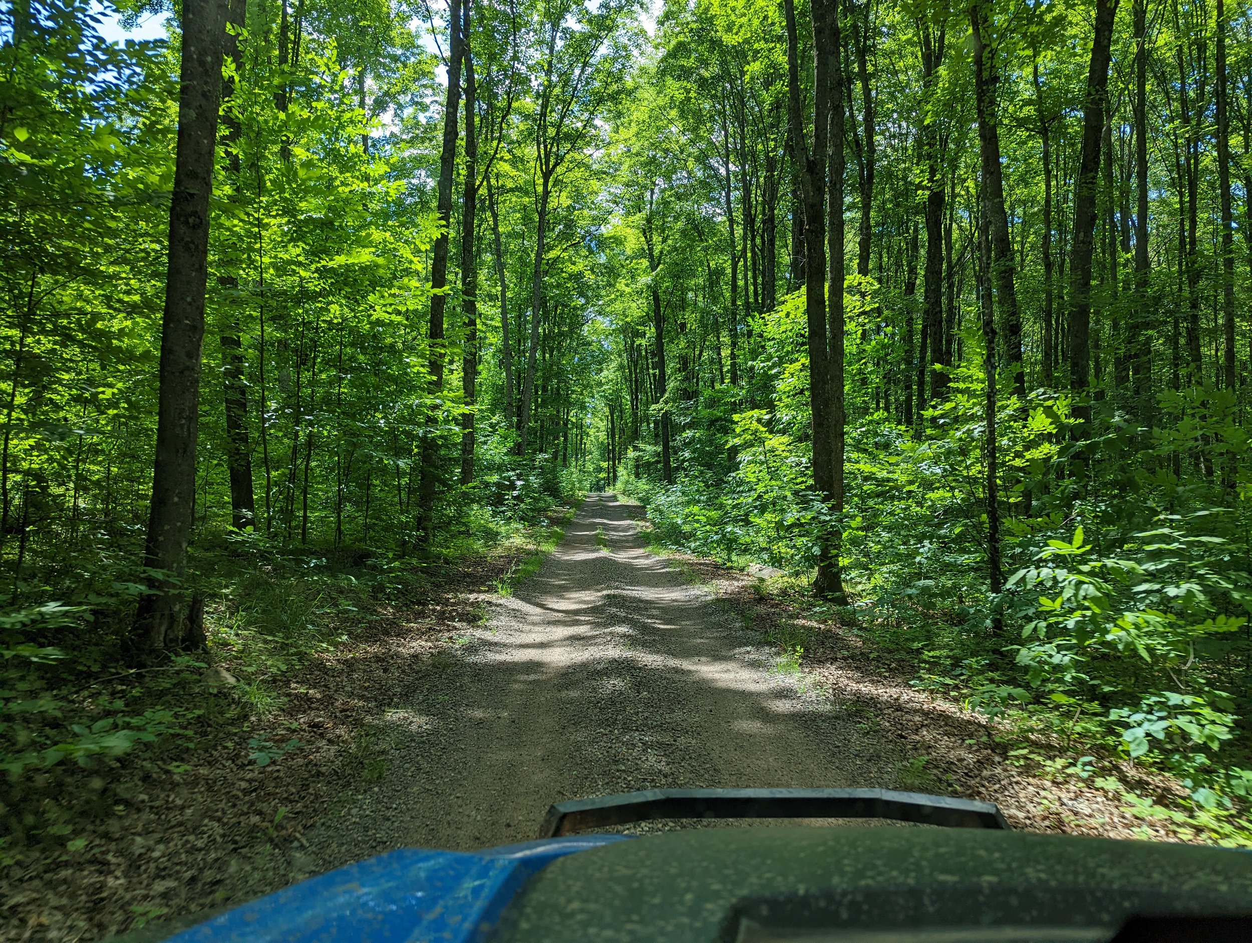 National Forest Road #2206 near the Town Of Alvin, Wisconsin in the Chequamegon-Nicolet National Forest. Very fun trail! Short, But fun!