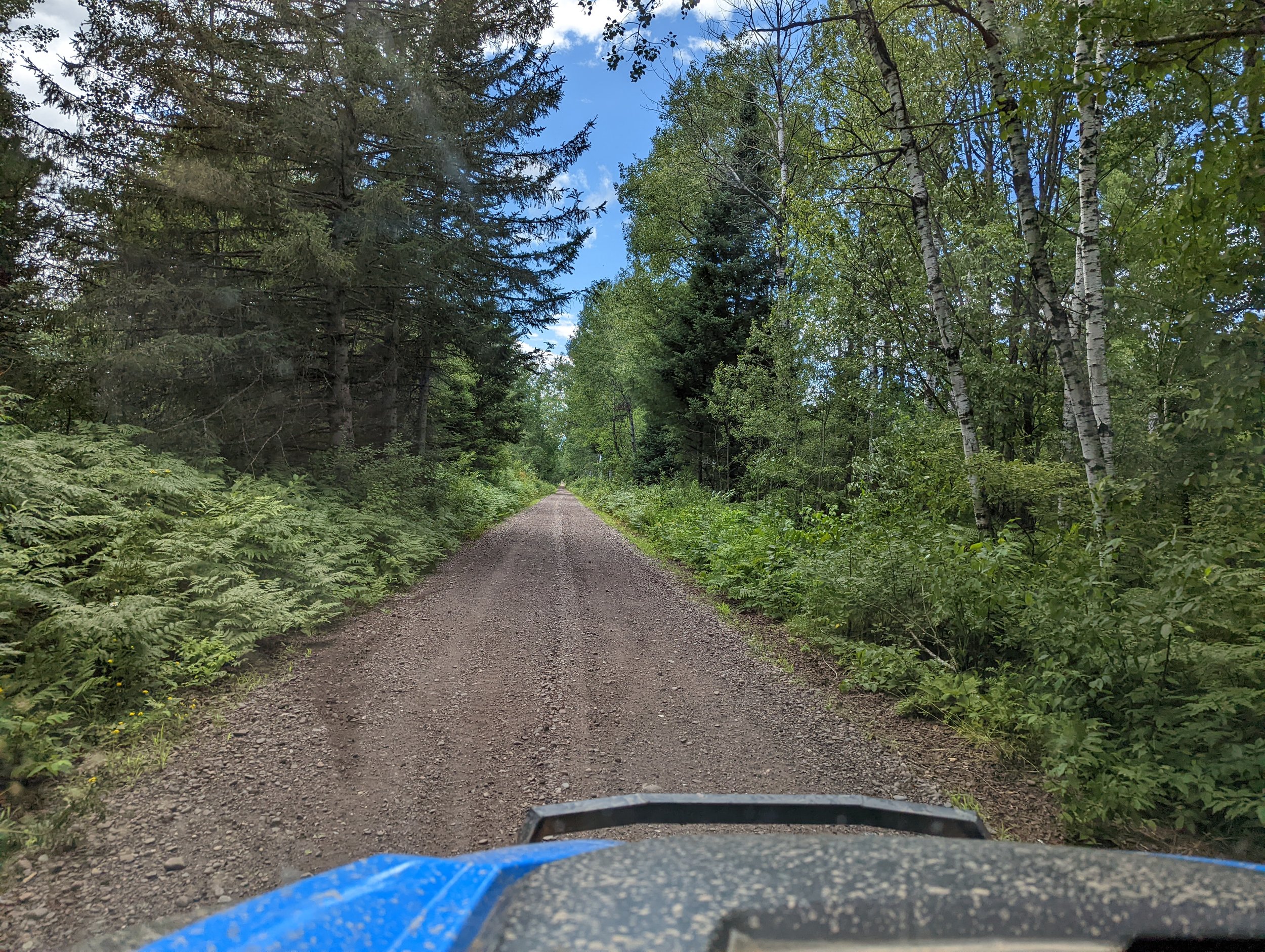 Gibbs City Road (Trail) north-west of Iron River, Michigan.
