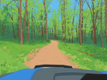 Ashland County Trails Near Cayuga, Wisconsin