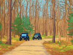 Marinette County ATV Trails Near Athelstane, Wisconsin