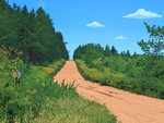 Bayfield County, WI Trail System