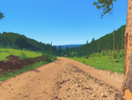 Black Hills National Forest, South Dakota