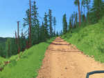 Black Hills National Forest, South Dakota