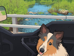 How I Bring Our Pets With On Our Adventures…