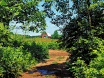 Marinette County Trails Near Goodman, WI