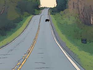 Reminder: Watch for Wildlife, Slowdown!