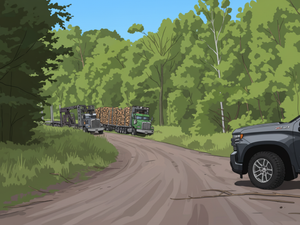 Watch For Logging...