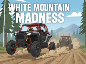 White Mountain Madness | Epic UTV Adventure in Arizona’s High Country