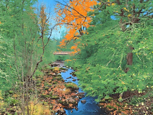Fall colors on the trail