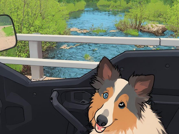 How I Bring Our Pets With On Our Adventures…