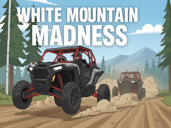 White Mountain Madness | Epic UTV Adventure in Arizona’s High Country